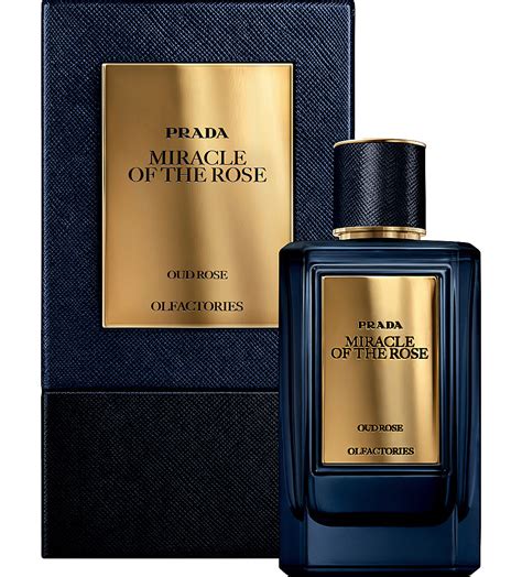 prada parfum miracle of the rose|Prada mirages perfume.